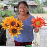 ALCALDÍA CIUDADANA – CURSOS GRATUITOS EN TERRITORIO