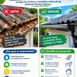 ALCALDÍA CIUDADANA – PREVENCIÓN